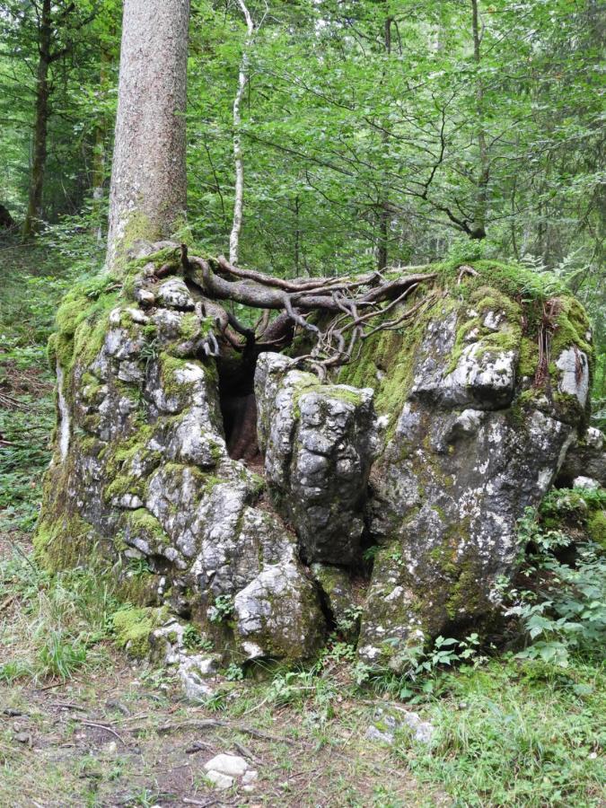 Kraehenberg Am Rande Der Wildnis Lejlighed Sibratsgfäll Eksteriør billede